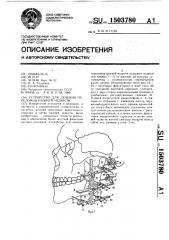 Устройство для лечения переломов нижней челюсти (патент 1503780)