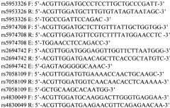 Тест-система для днк-идентификации индивида, основанная на полиморфных маркерах х-хромосомы (патент 2639499)