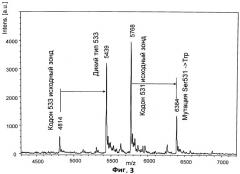 Способ получения удаляемых водонерастворимых ионообменных покрытий на малди мишенях и их применение для масс-спектрометрического анализа (патент 2475543)