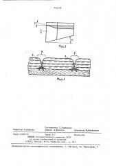 Льдоскалывающее устройство для очистки рельсовых путей (патент 1446209)