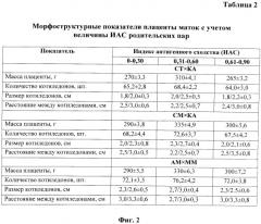 Способ подбора родительских пар в овцеводстве (патент 2525132)