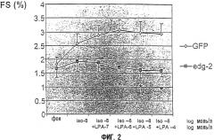 Применение рецептора edg2 на модели сердечно-сосудистой недостаточности у животных (патент 2337963)