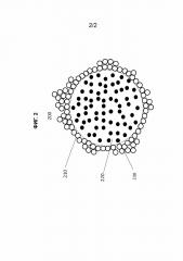 Безводные порошкообразные и жидкие частицы (патент 2640184)