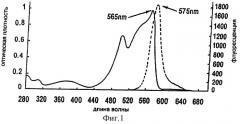 Способ и устройство для получения фикоэритрина с высокой оптической плотностью (патент 2315094)