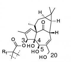 Ингенол-3-ацилаты i (патент 2575349)