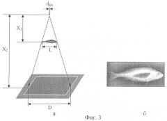 Способ получения рентгеновского изображения рыб (патент 2460994)