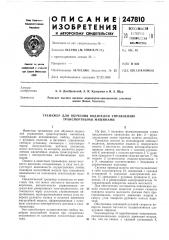 Патент ссср  247810 (патент 247810)