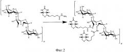 Способ получения биотинилированного производного окисленного декстрана (патент 2537246)