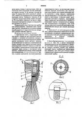 Бритвенная кисть петросовых (патент 1808296)