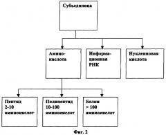 Иммуногенная композиция и способ разработки вакцины, основанной на слитом белке (патент 2407749)