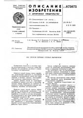 Способ охраны горных выработок (патент 875075)