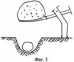 Способ дворянидова а.г. посадки клубней картофеля (патент 2269236)