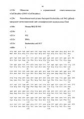 Рекомбинантный штамм бактерий escherichia coli n42 (pelmi) - продуцент метилзависимой сайт-специфической эндонуклеазы elmi (патент 2597987)
