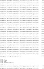 Бактерия escherichia coli - продуцент янтарной кислоты и способ получения янтарной кислоты (патент 2466186)