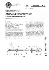 Устройство для определения степени подвижности тазового дна (патент 1301380)