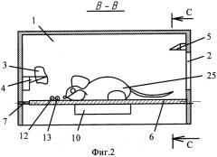 Устройство для истребления грызунов (патент 2322806)