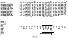 Противовирусный пептид, подавляющий репликацию вируса гриппа (патент 2492178)