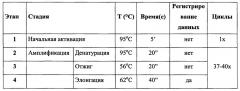 Днк-маркер для количественного определения геномной днк картофеля в растительном сырье и в продуктах, получаемых на его основе, в том числе при количественной идентификации гмо (патент 2658352)