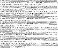 Композиции и способы для обнаружения и идентификации последовательностей нуклеиновых кислот в биологических образцах (патент 2595421) Композиции и способы для обнаружения и идентификации последовательностей нуклеиновых кислот в биологических образцах (патент 2595421)