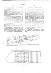 Выкапывающий и сепарирующий рабочий орган корнеклубнеуборочной машины (патент 683672)