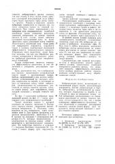 Вибрационный грохот (патент 940868)