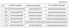 Устройство для интегрального анализа нуклеиновых кислот в реальном времени и способ определения целевой нуклеиновой кислоты с его использованием (патент 2532853)