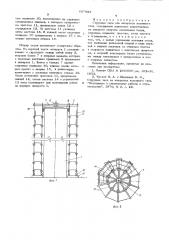 Струнные леса для аппаратов колонного типа (патент 607923)