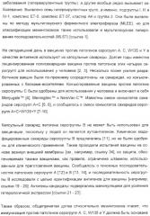 Иммунизация против менингококков серогруппы y с помощью белков (патент 2378009)