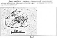 Способ выделения минералов в соединительной ткани человека методом низкотемпературного озоления ткани (патент 2463594)
