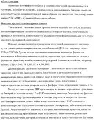 Способ получения l-аминокислот с использованием бактерии, принадлежащей к роду escherichia, в которой инактивирован один или несколько генов, кодирующих малые рнк (патент 2395567)