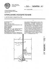 Устройство для гашения энергии водного потока (патент 1604906)