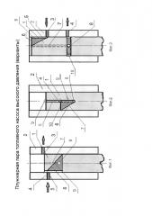 Плунжерная пара топливного насоса высокого давления (варианты) (патент 2630953)