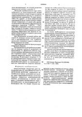 Транспортное средство для передвижения по автомобильным и железным дорогам (патент 2005085)