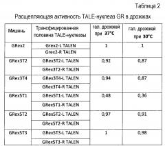 Многоцепочечный химерный антигенный рецептор и его применения (патент 2663725)