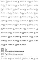 Вариантные формы уратоксидазы и их применение (патент 2451074)