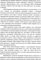 Генетически кодируемые флюоресцентные кумариновые аминокислоты (патент 2473690)