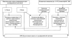 Способ защиты плодовых насаждений от калифорнийской щитовки (патент 2247488)
