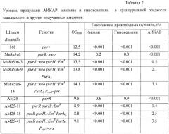 Способ микробиологического синтеза пуринового нуклеозида 5'-аминоимидазол-4-карбоксамидрибозида (аикар) и штамм бактерий bacillus subtilis - продуцент аикар (патент 2405833)