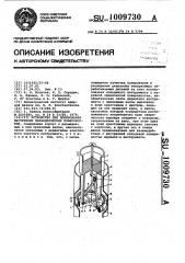 Устройство для полирования внутренних цилиндрических поверхностей (патент 1009730)