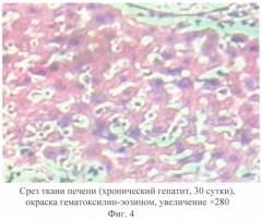 Средство "гепатобиол", обладающее гепатопротекторным действием (патент 2429869)