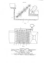 Установка для отделения крупных включений материалов (патент 695602)