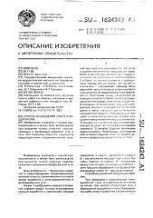 Способ возведения опережающей крепи (патент 1624243)