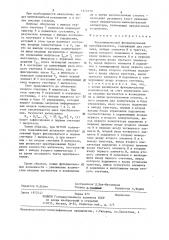 Числоимпульсный функциональный преобразователь (патент 1312570)