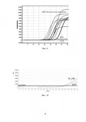 Способ повышения чувствительности полимеразной цепной реакции в реальном времени при обнаружении днк патогенных бактерий (патент 2636458)
