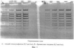 Этидий этилсульфат - флуоресцентный краситель для обнаружения нуклеиновых кислот (патент 2415842)