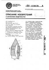 Пожарная пика и способ ее введения в обрушенную горную массу (патент 1116176)