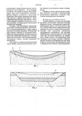 Способ обработки почвы под культуры растений (патент 1692388)