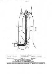Модель горизонтальной капсульной гидромашины (патент 1273636)