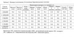 Способ поточного производства молодой баранины (патент 2528865)