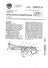 Устройство для горячего ремонта огнеупорной футеровки (патент 1828533)